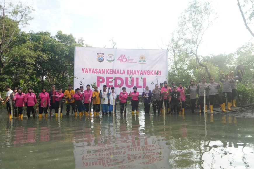 YKB Tanjung Perak Wujudkan Pesisir Hijau Lewat Mangrove