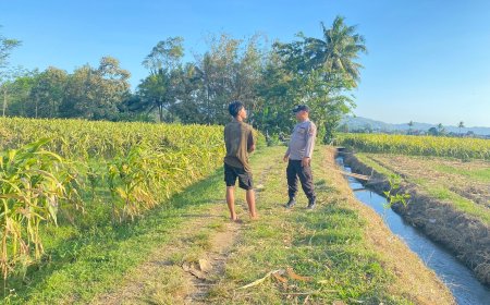 Polisi Ikut Awasi Aktivitas Pertanian Warga di Kabupaten Malang