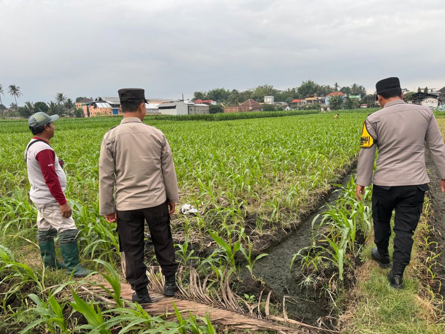 Bhabinkamtibmas Polres Malang Aktif Dampingi Petani Jaga Ketahanan Pangan